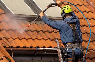 Démoussage et hydrofuge de toiture à Ferrussac